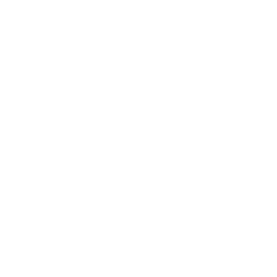 Black Opportunity Fund
